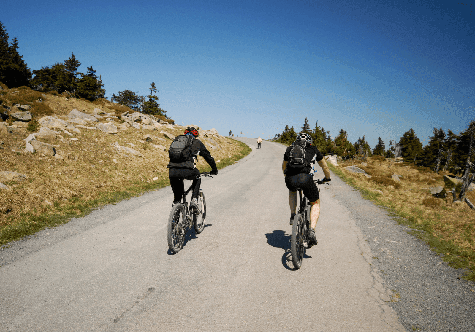 To mænd på mountainbikes, der kører op ad Brocken i Harz, Tyskland.