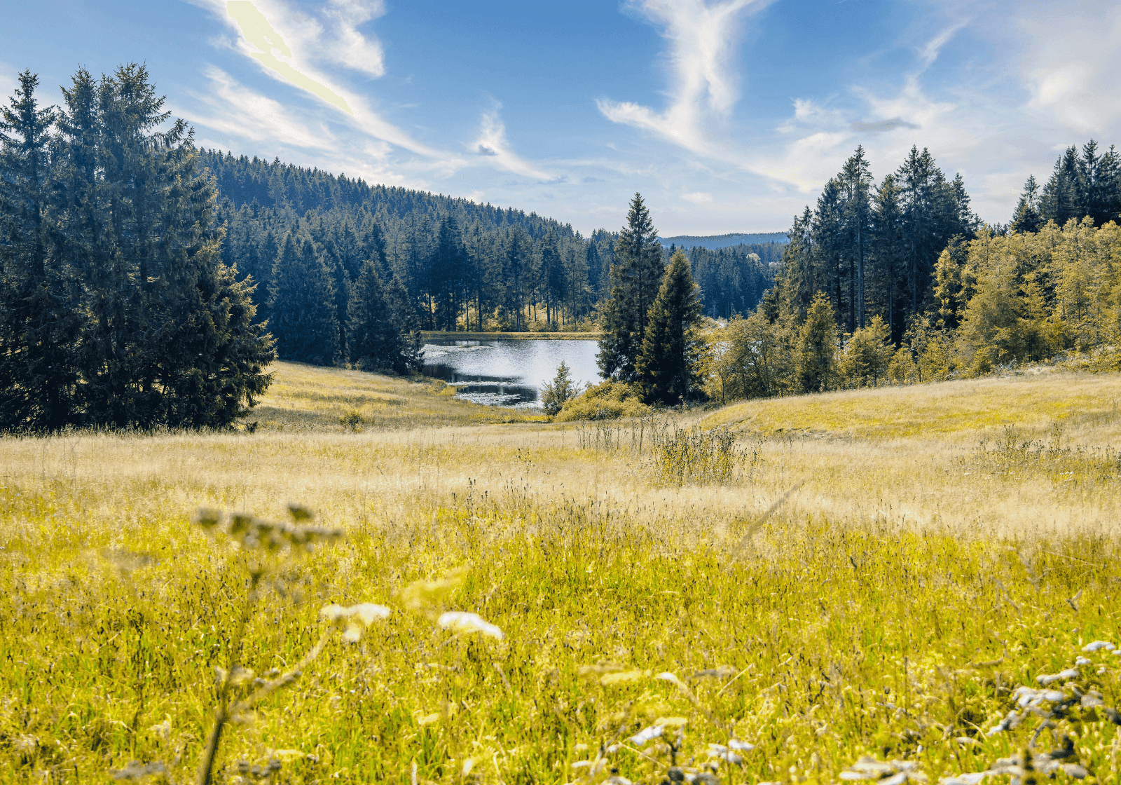 Udsigten over bjergene og mindre kunstige vandmasser i Harz-bjergene.