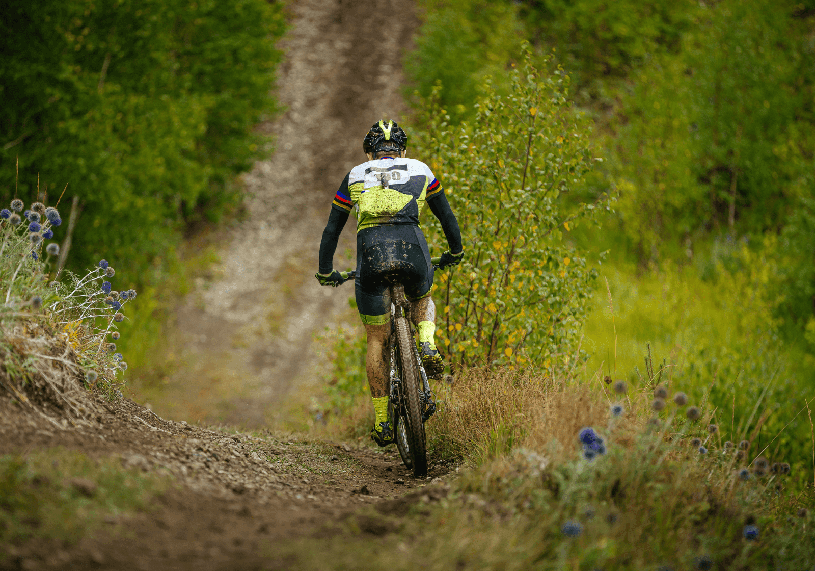 Ryggen af en mandlig atlet på mountainbike på skovsti på vej ned af bjerg