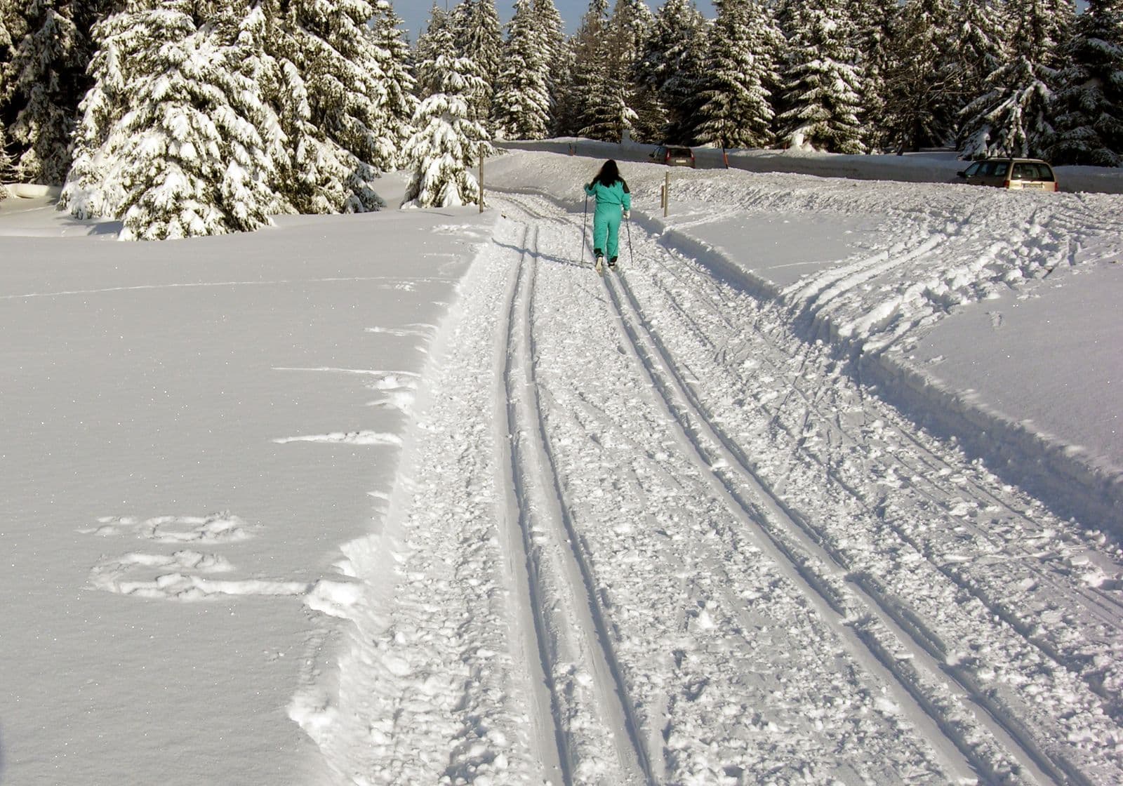 Person på langrend og snespor i vinterskov.