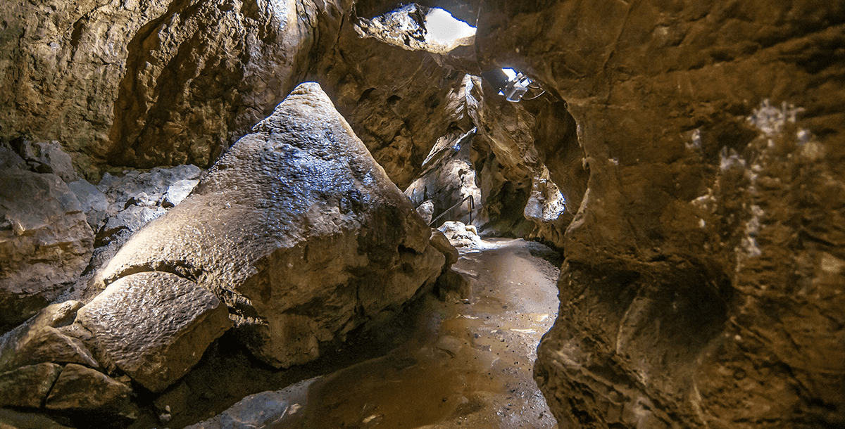 Drypstenshule Iberger i Harzen